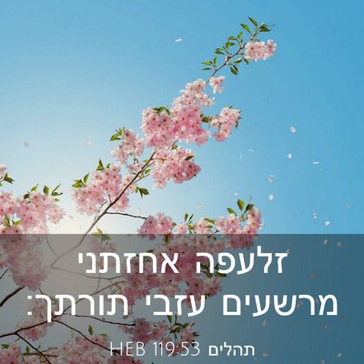 Picture 03 - תהלים 119:53 HEB - זלעפה אחזתני מרשעים עזבי - Bible Verse Picture