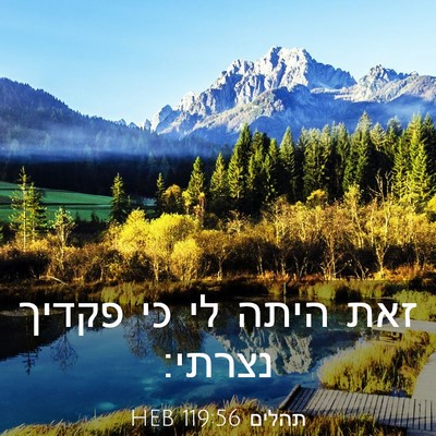 Picture 03 - תהלים 119:56 HEB - זאת היתה לי כי פקדיך - Bible Verse Picture