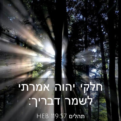 Picture 03 - תהלים 119:57 HEB - חלקי יהוה אמרתי לשמר - Bible Verse Picture