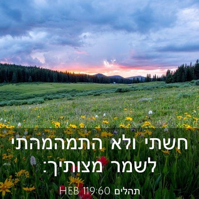 Picture 03 - תהלים 119:60 HEB - חשתי ולא התמהמהתי לשמר - Bible Verse Picture