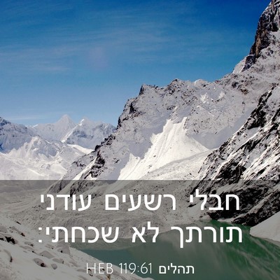Picture 03 - תהלים 119:61 HEB - חבלי רשעים עודני תורתך לא - Bible Verse Picture
