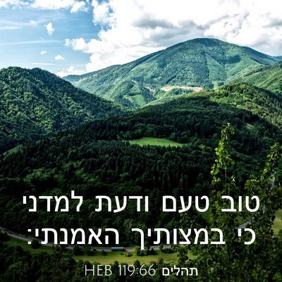 Picture 03 - תהלים 119:66 HEB - טוב טעם ודעת למדני כי - Bible Verse Picture
