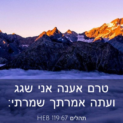 Picture 03 - תהלים 119:67 HEB - טרם אענה אני שגג ועתה אמרתך - Bible Verse Picture