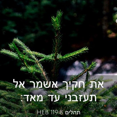 Picture 03 - תהלים 119:8 HEB - את חקיך אשמר אל תעזבני עד - Bible Verse Picture
