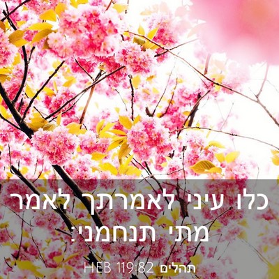 Picture 03 - תהלים 119:82 HEB - כלו עיני לאמרתך לאמר מתי - Bible Verse Picture