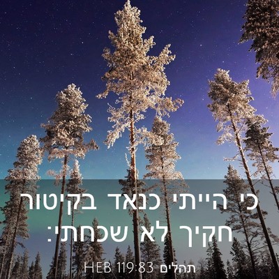 Picture 03 - תהלים 119:83 HEB - כי הייתי כנאד בקיטור חקיך - Bible Verse Picture