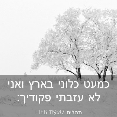 Picture 03 - תהלים 119:87 HEB - כמעט כלוני בארץ ואני לא - Bible Verse Picture