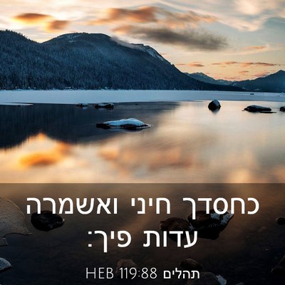 Picture 03 - תהלים 119:88 HEB - כחסדך חיני ואשמרה עדות - Bible Verse Picture