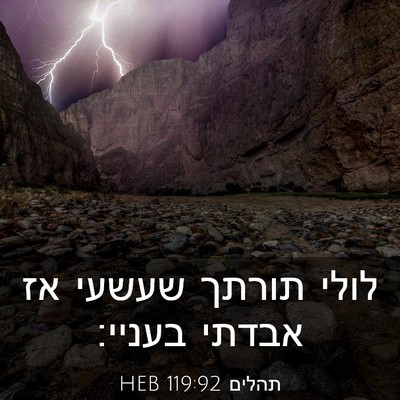 Picture 03 - תהלים 119:92 HEB - לולי תורתך שעשעי אז אבדתי - Bible Verse Picture