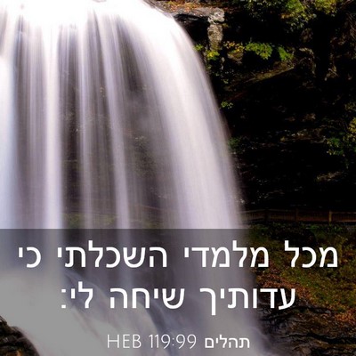 Picture 03 - תהלים 119:99 HEB - מכל מלמדי השכלתי כי עדותיך - Bible Verse Picture