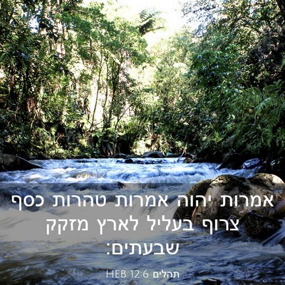Picture 03 - תהלים 12:6 HEB - אמרות יהוה אמרות טהרות כסף - Bible Verse Picture