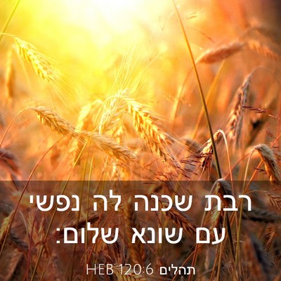 Picture 03 - תהלים 120:6 HEB - רבת שכנה לה נפשי עם שונא - Bible Verse Picture