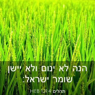 Picture 03 - תהלים 121:4 HEB - הנה לא ינום ולא יישן שומר - Bible Verse Picture
