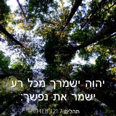 Picture 03 - תהלים 121:7 HEB - יהוה ישמרך מכל רע ישמר את - Bible Verse Picture
