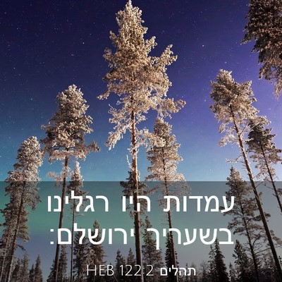 Picture 03 - תהלים 122:2 HEB - עמדות היו רגלינו בשעריך - Bible Verse Picture