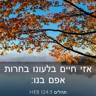 Picture 03 - תהלים 124:3 HEB - אזי חיים בלעונו בחרות אפם - Bible Verse Picture