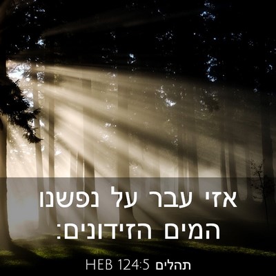 Picture 03 - תהלים 124:5 HEB - אזי עבר על נפשנו המים - Bible Verse Picture