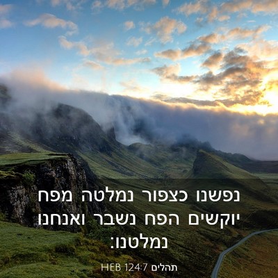 Picture 03 - תהלים 124:7 HEB - נפשנו כצפור נמלטה מפח - Bible Verse Picture