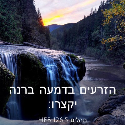 Picture 03 - תהלים 126:5 HEB - הזרעים בדמעה ברנה - Bible Verse Picture