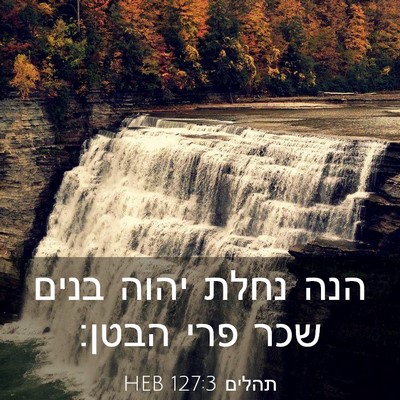 Picture 03 - תהלים 127:3 HEB - הנה נחלת יהוה בנים שכר פרי - Bible Verse Picture