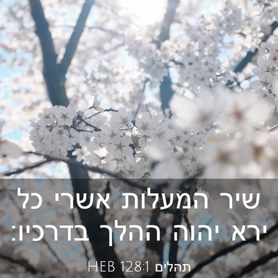 Picture 03 - תהלים 128:1 HEB - שיר המעלות אשרי כל ירא יהוה - Bible Verse Picture
