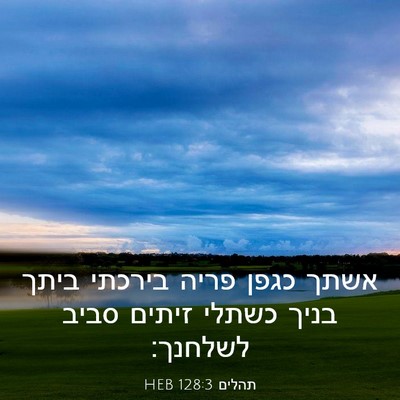 Picture 03 - תהלים 128:3 HEB - אשתך כגפן פריה בירכתי ביתך - Bible Verse Picture