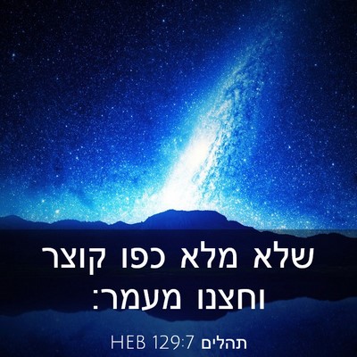 Picture 03 - תהלים 129:7 HEB - שלא מלא כפו קוצר וחצנו - Bible Verse Picture