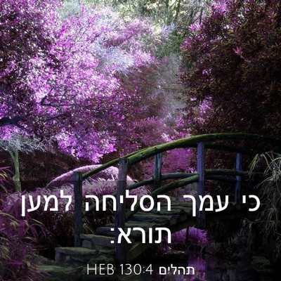 Picture 03 - תהלים 130:4 HEB - כי עמך הסליחה למען - Bible Verse Picture