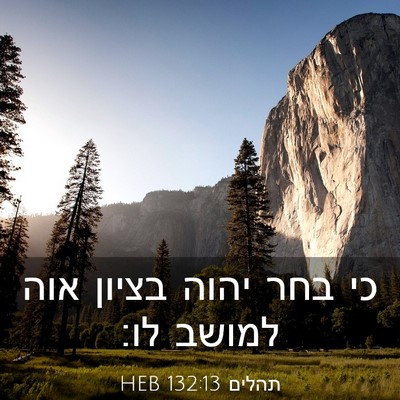 Picture 03 - תהלים 132:13 HEB - כי בחר יהוה בציון אוה למושב - Bible Verse Picture
