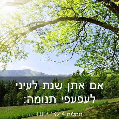 Picture 03 - תהלים 132:4 HEB - אם אתן שנת לעיני לעפעפי - Bible Verse Picture