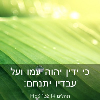 Picture 03 - תהלים 135:14 HEB - כי ידין יהוה עמו ועל עבדיו - Bible Verse Picture