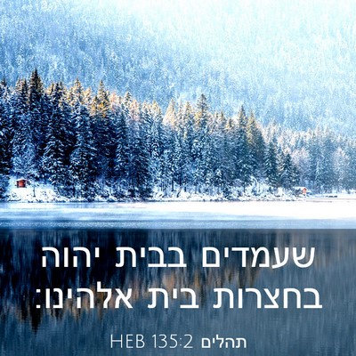 Picture 03 - תהלים 135:2 HEB - שעמדים בבית יהוה בחצרות - Bible Verse Picture