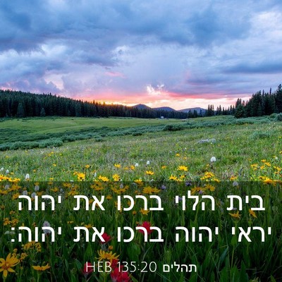 Picture 03 - תהלים 135:20 HEB - בית הלוי ברכו את יהוה יראי - Bible Verse Picture