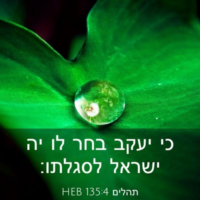 Picture 03 - תהלים 135:4 HEB - כי יעקב בחר לו יה ישראל - Bible Verse Picture