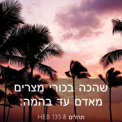 Picture 03 - תהלים 135:8 HEB - שהכה בכורי מצרים מאדם עד - Bible Verse Picture
