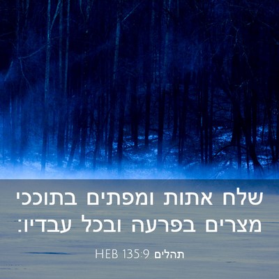 Picture 03 - תהלים 135:9 HEB - שלח אתות ומפתים בתוככי - Bible Verse Picture