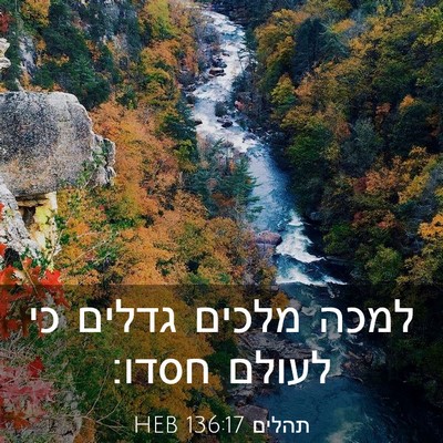 Picture 03 - תהלים 136:17 HEB - למכה מלכים גדלים כי לעולם - Bible Verse Picture