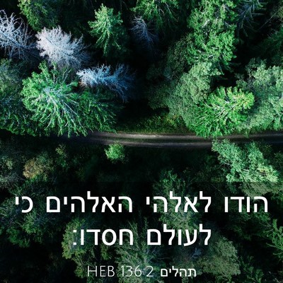 Picture 03 - תהלים 136:2 HEB - הודו לאלהי האלהים כי לעולם - Bible Verse Picture
