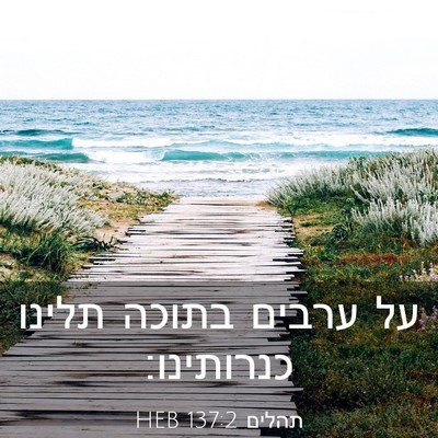 Picture 03 - תהלים 137:2 HEB - על ערבים בתוכה תלינו - Bible Verse Picture