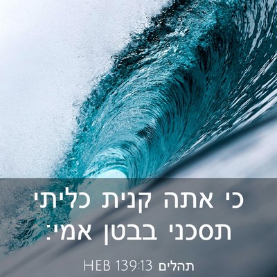 Picture 03 - תהלים 139:13 HEB - כי אתה קנית כליתי תסכני - Bible Verse Picture