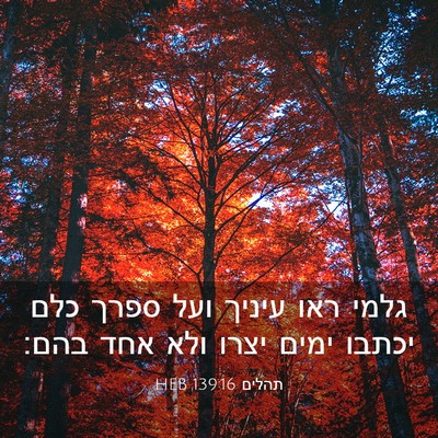 Picture 03 - תהלים 139:16 HEB - גלמי ראו עיניך ועל ספרך כלם - Bible Verse Picture