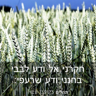Picture 03 - תהלים 139:23 HEB - חקרני אל ודע לבבי בחנני ודע - Bible Verse Picture