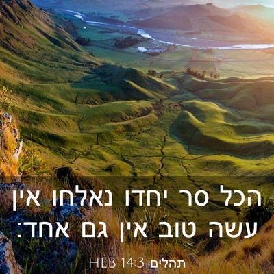 Picture 03 - תהלים 14:3 HEB - הכל סר יחדו נאלחו אין עשה - Bible Verse Picture
