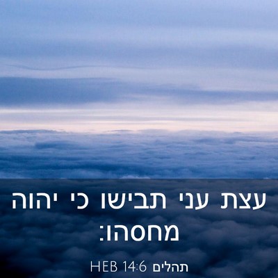 Picture 03 - תהלים 14:6 HEB - עצת עני תבישו כי יהוה - Bible Verse Picture