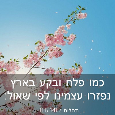 Picture 03 - תהלים 141:7 HEB - כמו פלח ובקע בארץ נפזרו - Bible Verse Picture