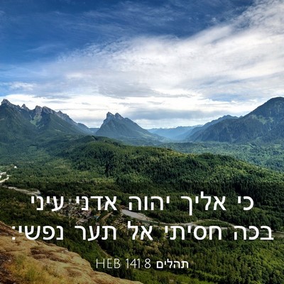 Picture 03 - תהלים 141:8 HEB - כי אליך יהוה אדני עיני בכה - Bible Verse Picture