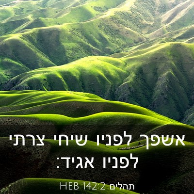 Picture 03 - תהלים 142:2 HEB - אשפך לפניו שיחי צרתי לפניו - Bible Verse Picture
