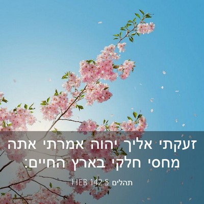 Picture 03 - תהלים 142:5 HEB - זעקתי אליך יהוה אמרתי אתה - Bible Verse Picture