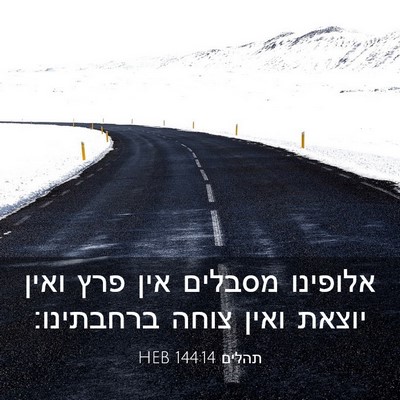 Picture 03 - תהלים 144:14 HEB - אלופינו מסבלים אין פרץ - Bible Verse Picture
