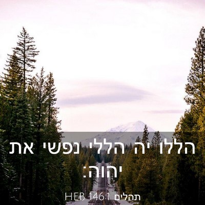 Picture 03 - תהלים 146:1 HEB - הללו יה הללי נפשי את - Bible Verse Picture